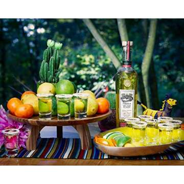 Burns Glass Flared Tequila Glasses - Set of 6 Shot Glasses