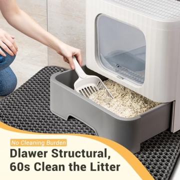 MIU COLOR Enclosed Cat Litter Box, Large Covered Kitty Litter Box with lid and Mat, Big Tor Entry Deep Traw High Sides Anti-Splashing Easy to Clean,Odor Control (Upgrade with Mat)
