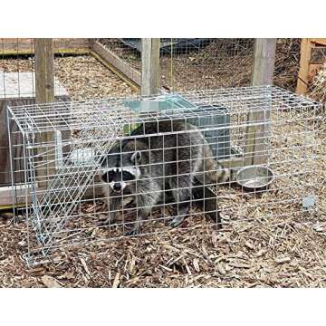 Faicuk Large Collapsible Humane Live Animal Cage Trap for Raccoon, Opossum, Stray Cat, Rabbit, Groundhog and Armadillo 32 x 11 x 13 Inch