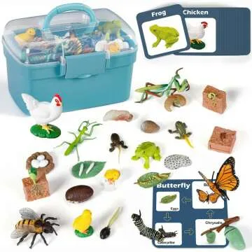 Life Cycle Learning Toys For Kids 25 Piece Sets