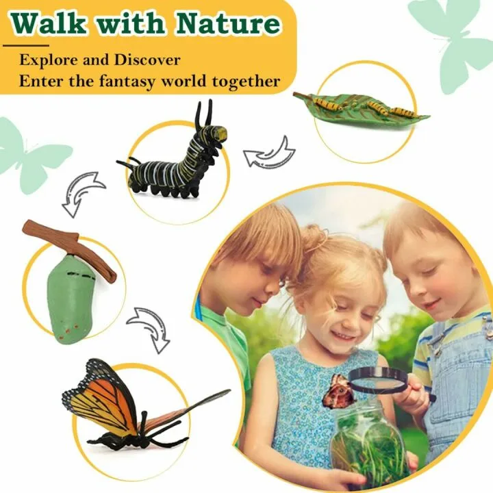 Life Cycle Learning Toys For Kids 25 Piece Sets