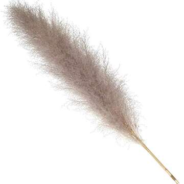 Wild Home Market Natural Dried Fluffy Pampas Grass for Fall Boho Home Decor Wedding Decoration and F...