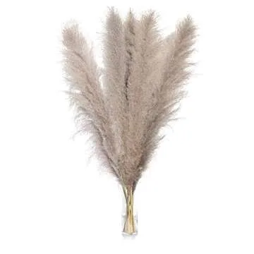 Natural Dried Pampas Grass for Eco-Friendly Home Decor