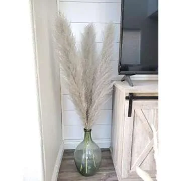Natural Dried Pampas Grass for Eco-Friendly Home Decor