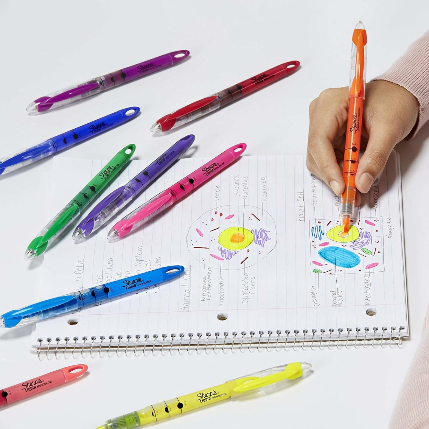 Sharpie Liquid Highlighter Pack - 10 Assorted Colors