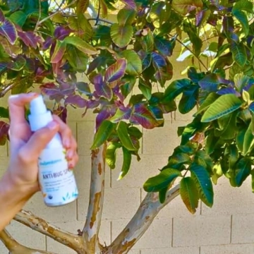 Organic DEET-Free Bug Spray for All Ages - Mambino