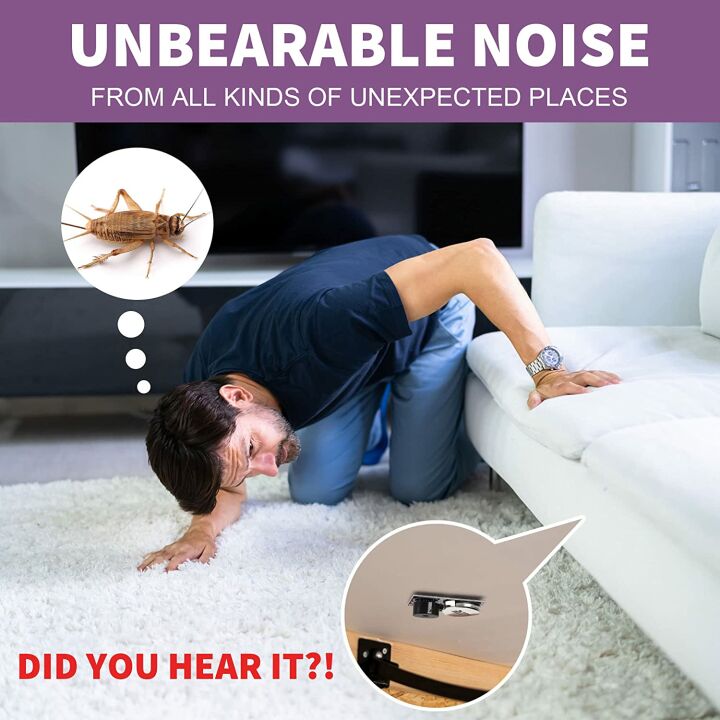 Reinbow Cricket Noise Maker Prank - Gag Gift Set