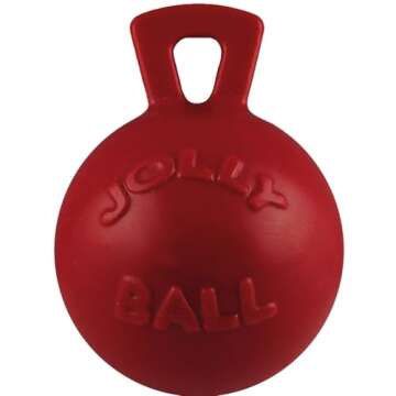 Jolly Pets Tug-N-Toss Ball Color: Purple, Size: 8" H x 6" W x 6" D