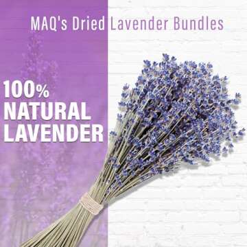 MAQ's Dried Lavender Bundles - 100% Natural Dried Lavender Flowers with 300 Stems (16-17 Inches) for...