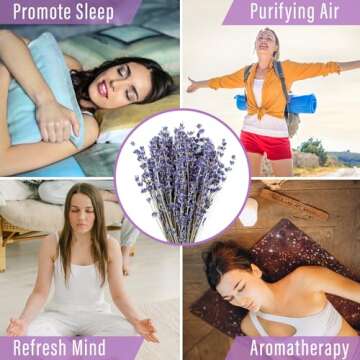 Natural Lavender Bundles for Home Fragrance & Decor