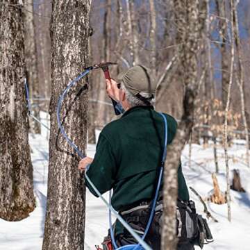 Butternut Mountain Farm Pure Vermont Maple Syrup, Grade A, Dark Color, Robust Taste, All Natural, Easy Pour, 32 Fl Oz, 1 Qt (Prev Grade B)