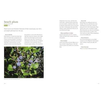 Southeast Foraging: 120 Wild and Flavorful Edibles from Angelica to Wild Plums (Regional Foraging Series)