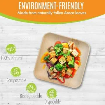 Raj Palm Leaf Plates 50-Pack Eco-Friendly Dinnerware