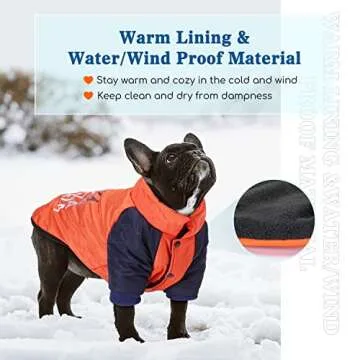 Dog Jacket, Nobleza Waterproof & Windproof Fleece Lined Dog Winter Coat with Leash Hole, Fashion Personality Dog Cold Weather Coats for Cold, Wet, Windy and Snowy Day(Orange M)