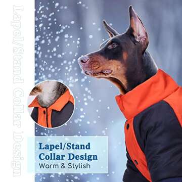 Dog Jacket, Nobleza Waterproof & Windproof Fleece Lined Dog Winter Coat with Leash Hole, Fashion Personality Dog Cold Weather Coats for Cold, Wet, Windy and Snowy Day(Orange M)