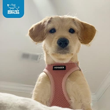 Voyager Air Dog Harness - Comfort & Safety for Pets