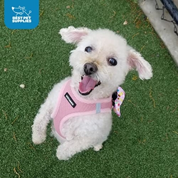 Voyager Air Dog Harness - Comfort & Safety for Pets