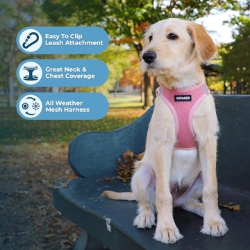 Voyager Air Dog Harness - Comfort & Safety for Pets