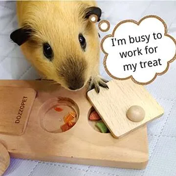 DOZZOPET Enrichment Foraging Toy for Small Pets