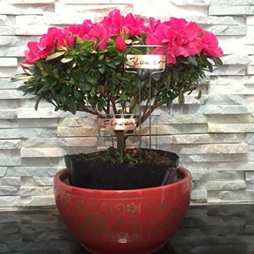 Elegant 30-Piece Copper Plant Labels for Garden Organization