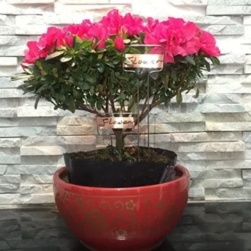 Elegant 30-Piece Copper Plant Labels for Garden Organization