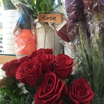 Elegant 30-Piece Copper Plant Labels for Garden Organization