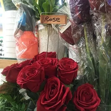 Elegant 30-Piece Copper Plant Labels for Garden Organization