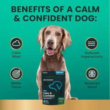 VETRISCIENCE Calm & Confident Chews, Composure Clinically Tested Calming & Anxiety Supplement for Dogs, Reduce Stress & Fear, Ideal for Thunderstorms, Fireworks & Travel, Chicken, 60 Count