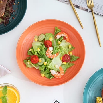 Kyraton Unbreakable Plastic Plates Set – Vibrant & Versatile