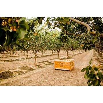 Setton Farms Naturally Seasoned Pistachio Kernels, Salt and Pepper, No Shell Pistachios, Certified Non-GMO, Gluten Free, Vegan and Kosher, 5 oz Resealable Pouch