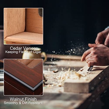 Bald Eagle Handmade Cigar Humidor with Glass Top and Hygrometer