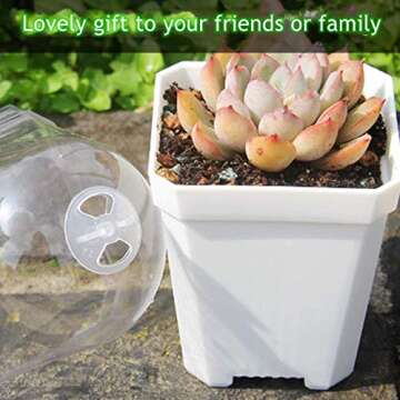 10 Pcs White Plant Nursery Pots with Clear Humidity Dome- 4 inch Plastic Gardening Pot Plant Container- Seed Starting Pot with Drain Holes for Seedlings, Vegetables, Succulents, Cuttings