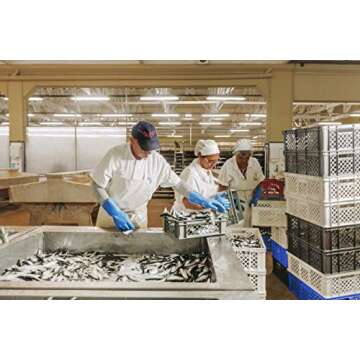 NURI Portuguese Sardines in Tomato Sauce - 2 Pack