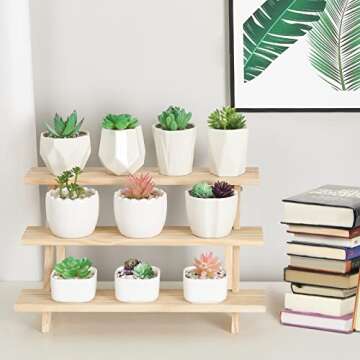 Versatile Jotsport 3-Tier Wooden Display Riser Stand