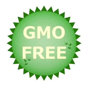 Sunflower Oil Cold Pressed Virgin Organic 16.9 fl oz/500 ml