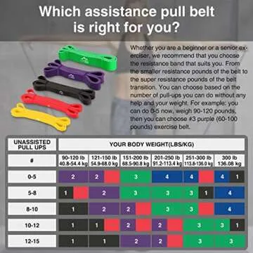 JDDZ SPORTS Resistance Bands Set for Home Workouts and Fitness Training