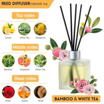 Brakula Reed Diffusers Set - Bamboo & White Tea Scented Aromatic Oil Diffuser with 10 Sticks for Roo...