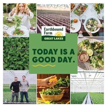 Earthbound Farm Organic Spring Mix 16oz Fresh Greens