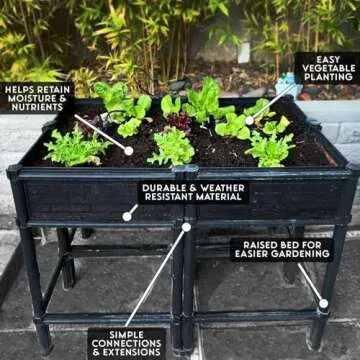 City Farmer USA Elevated Raised Garden Bed with Legs 7" Depth Planter Box | Non-Toxic Sun Protected Material | 36" L X 24" W X 27" H for Easy Planting | Large Vegetable & Herb Backyard Patio