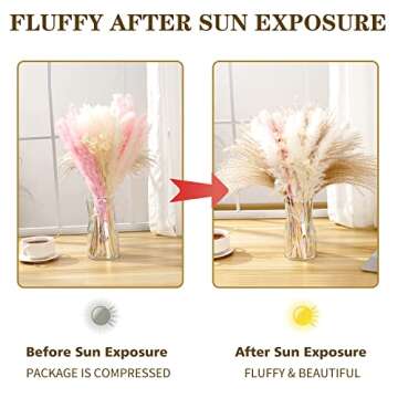 Dried Pampas Grass 17'', Set of Fluffy Pink Pampas, White Pampas, Reed Grass,White Flower, Natural Small Pampas Grass Bouquet Perfect for Boho Home Decor, Wedding Decor, Flower Arrangements (75 PCS)