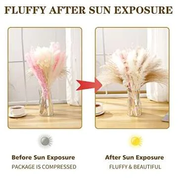Luxurious Dried Pampas Grass Set for Elegant Decor