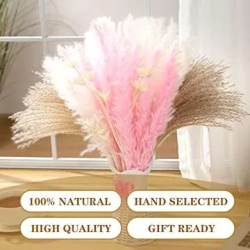 Luxurious Dried Pampas Grass Set for Elegant Decor