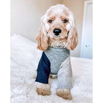 Fitwarm Color Block Dog Sweater, Knitted Pet Coat, Dog Winter Clothes for Small Dogs Boy, Cat Appare...