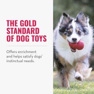 KONG Classic Dog Toy - Durable, Stuffable & Engaging