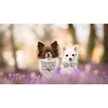 Adjustable Unique Style Paws Dog Bandanas for Every Pet