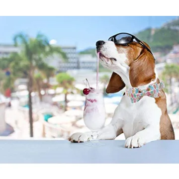 Adjustable Unique Style Paws Dog Bandanas for Every Pet