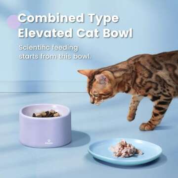 Pawaii Ceramic Elevated Cat Bowl - Combined Type, Whisker Fatigue Relief, Dishwasher & Microwave Saf...