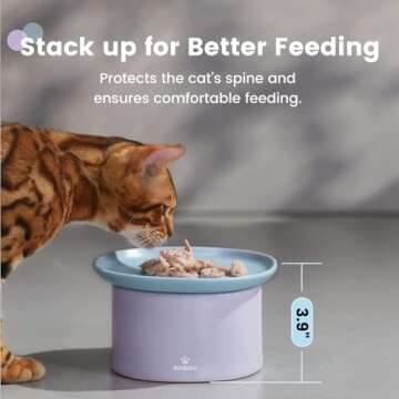 Pawaii Elevated Cat Bowl Set for Whisker Fatigue Relief