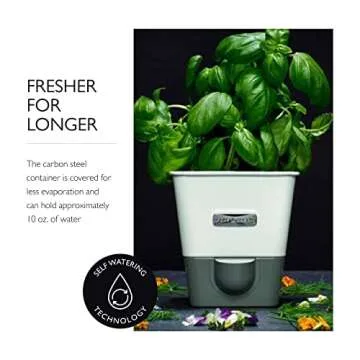 Cole & Mason Self-Water Herb Keeper - Fresh Herb Saver