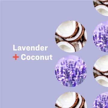 Everyone Liquid Hand Soap Lavender Coconut 12.75oz Pack